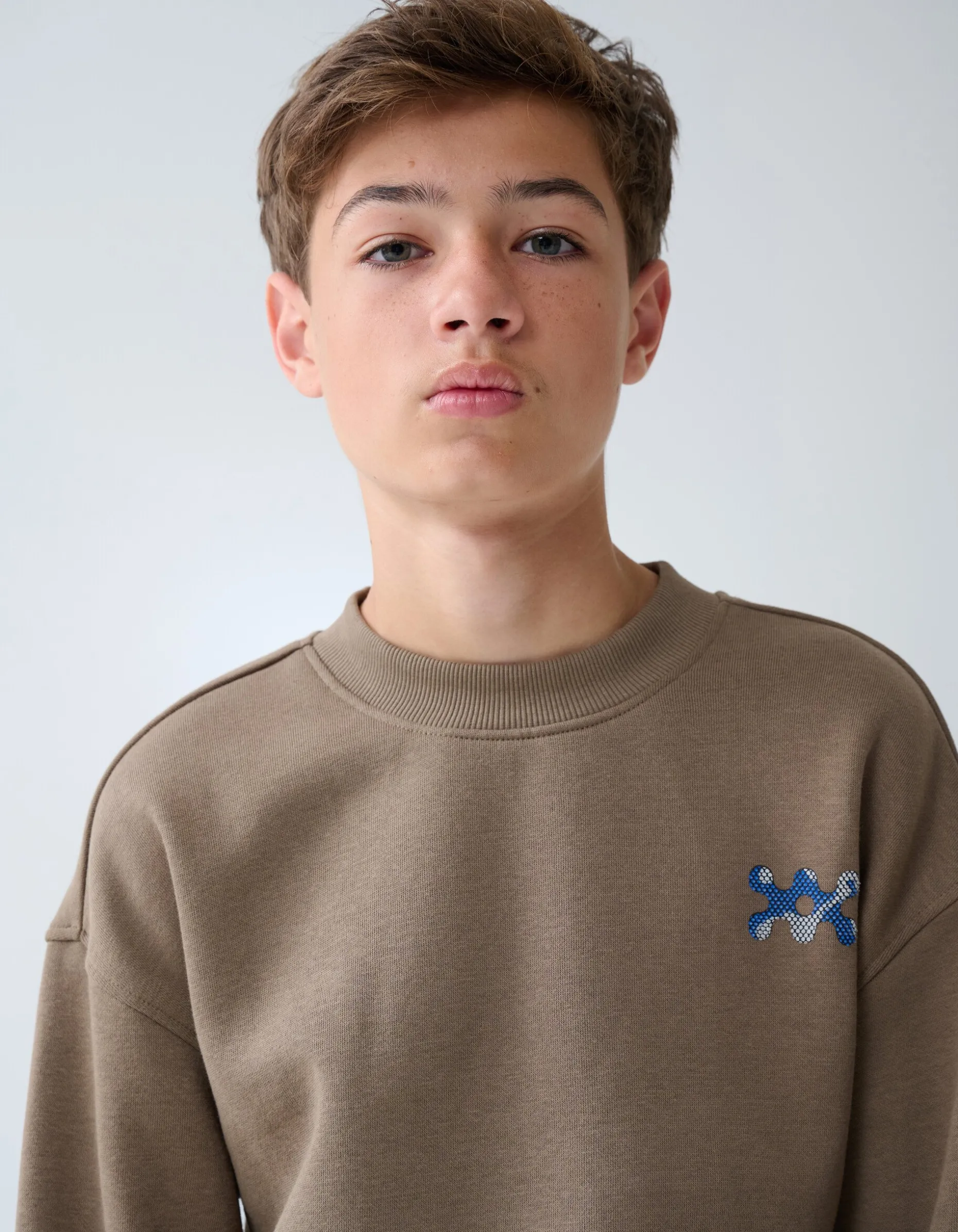 Artwork Sweater Bruin