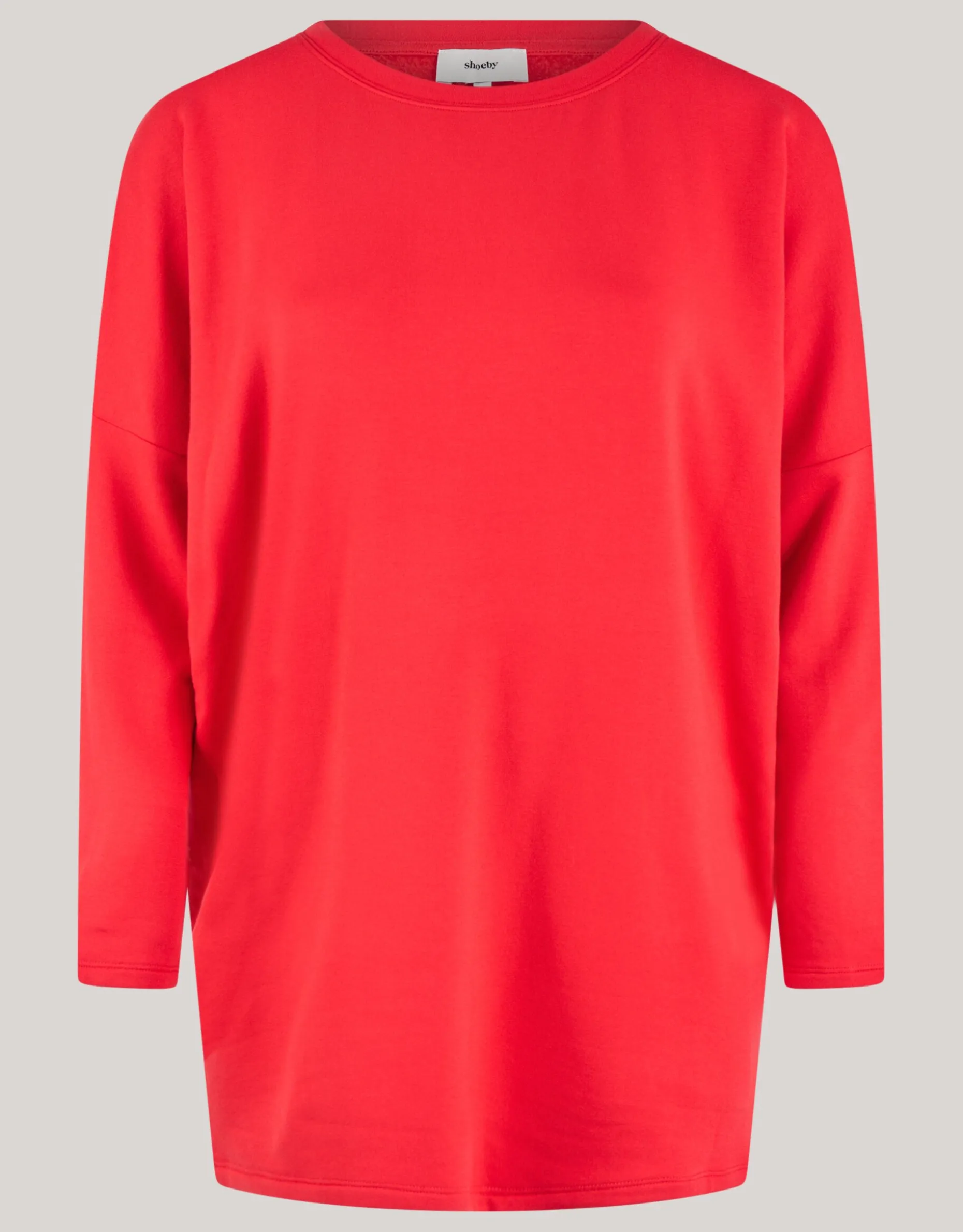 Basic Oversized Top Rood