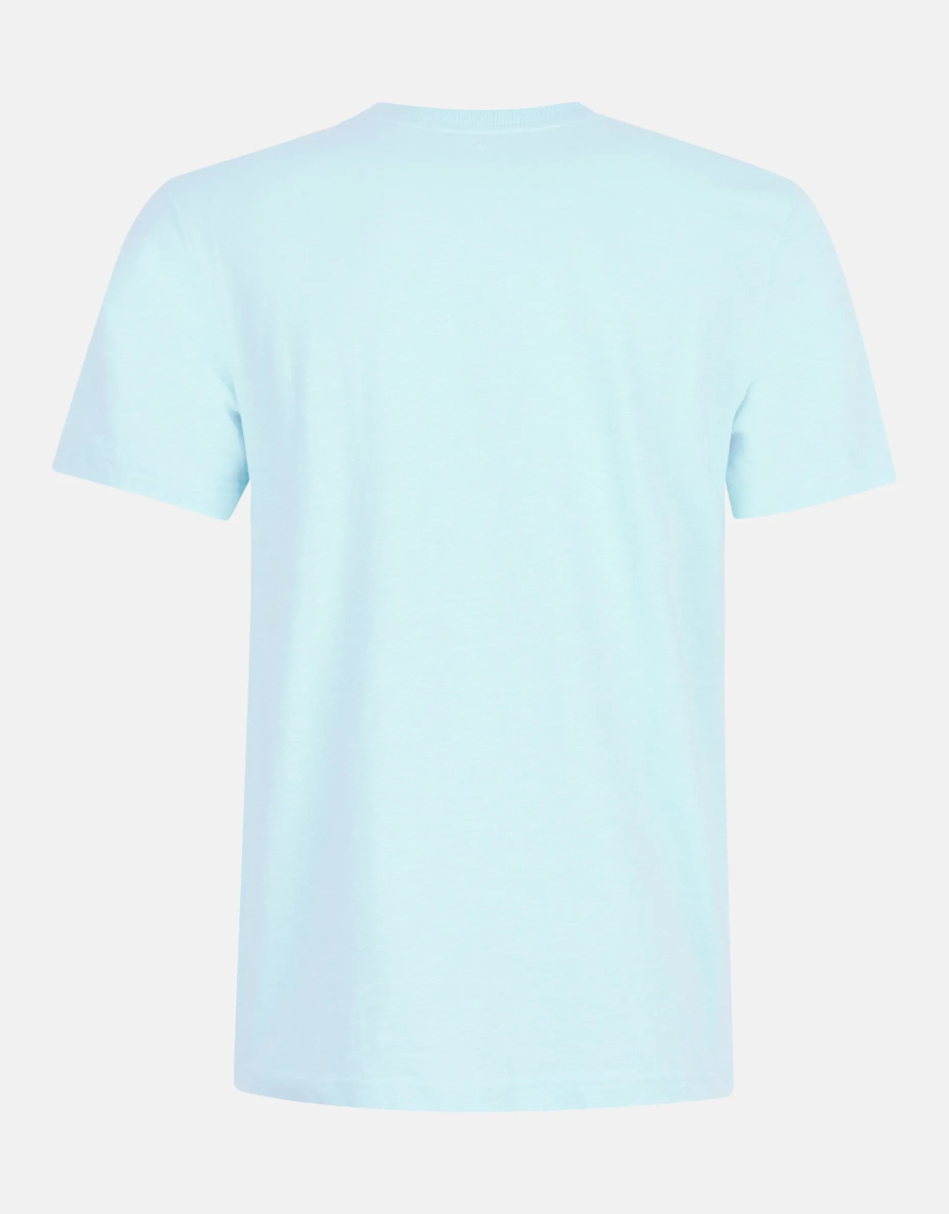 Embroidery T-shirt Lichtblauw