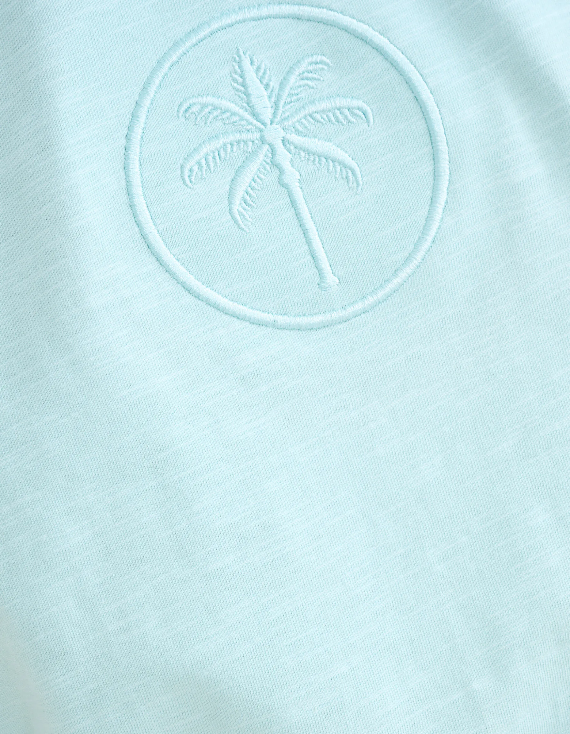 Embroidery T-shirt Lichtblauw