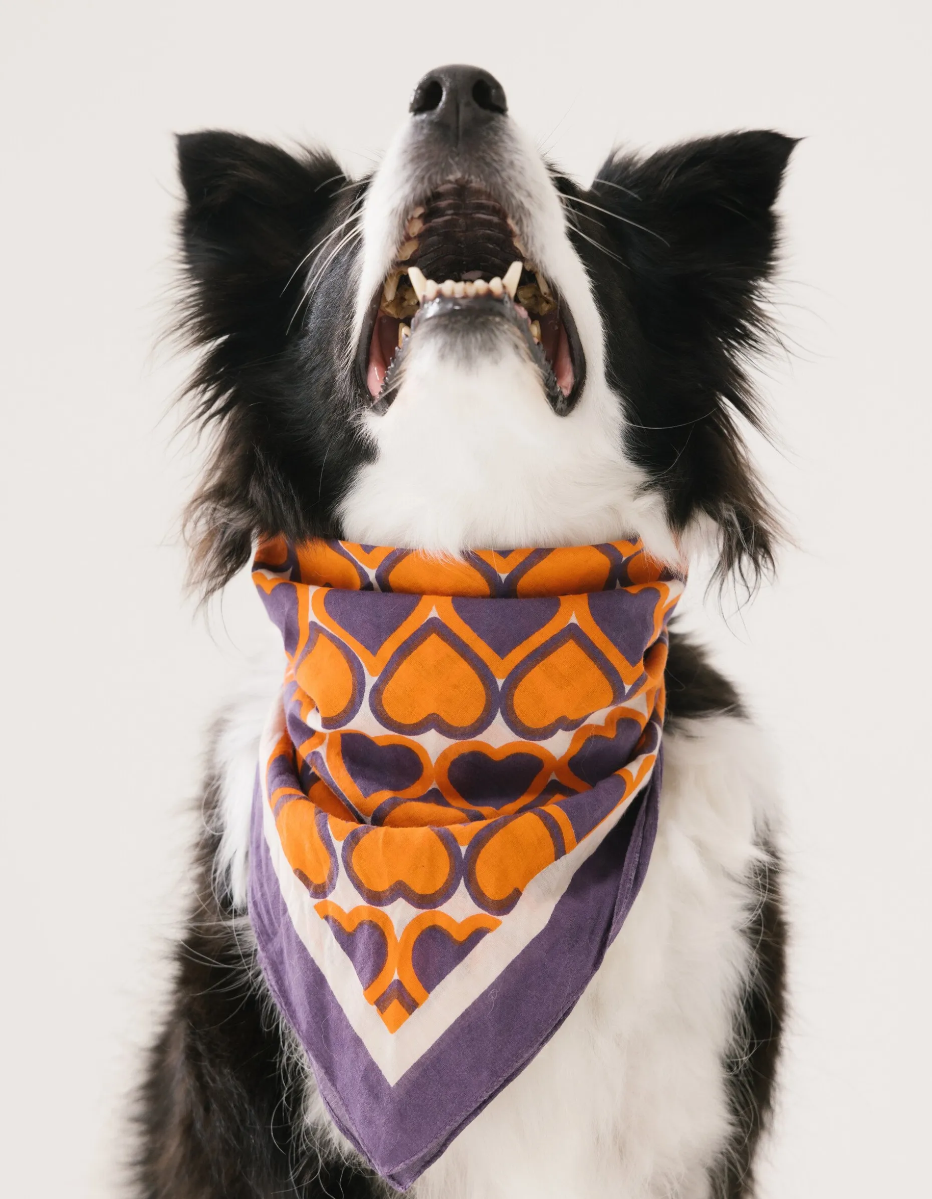 Heart Printed Bandana Paars By Furmey