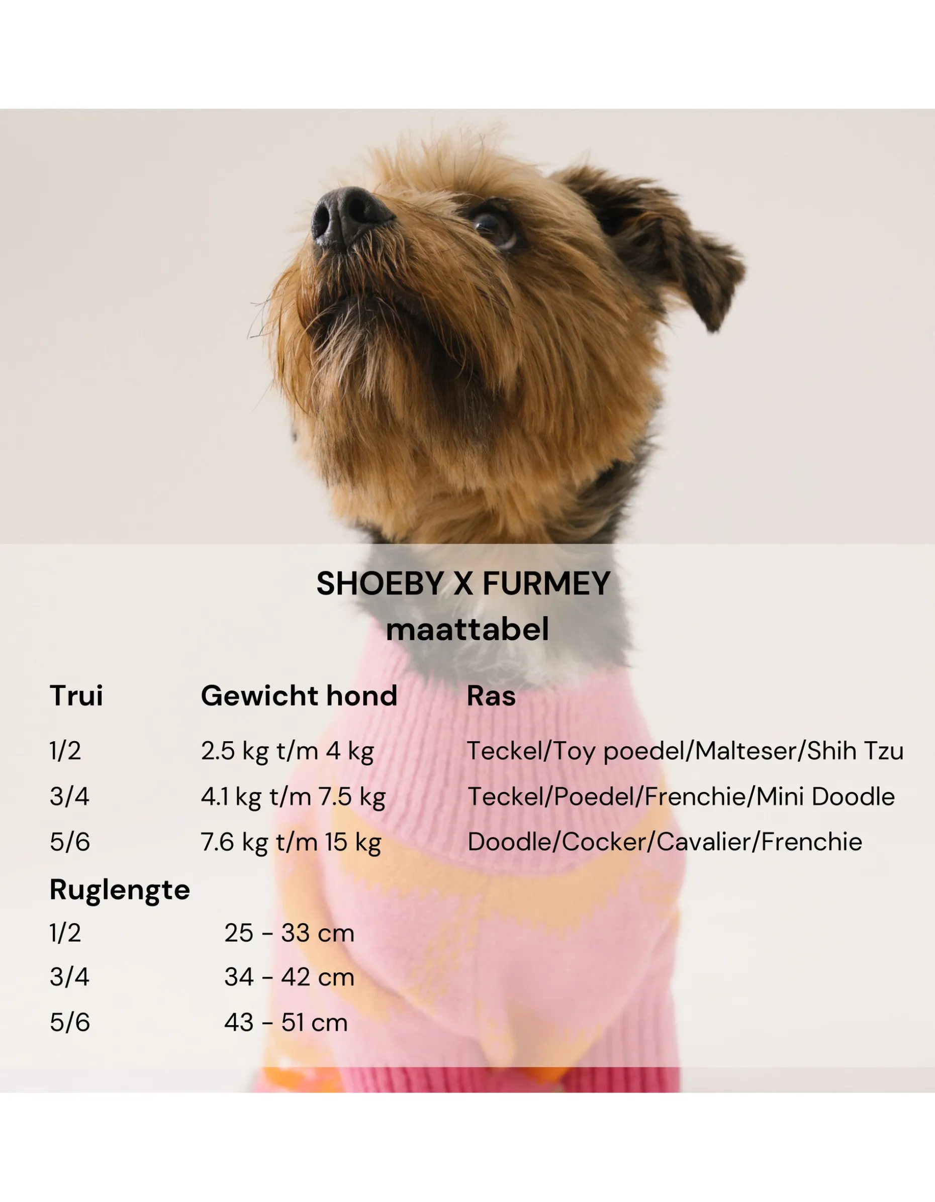 Heart Printed Honden Trui Gebroken Wit By Furmey