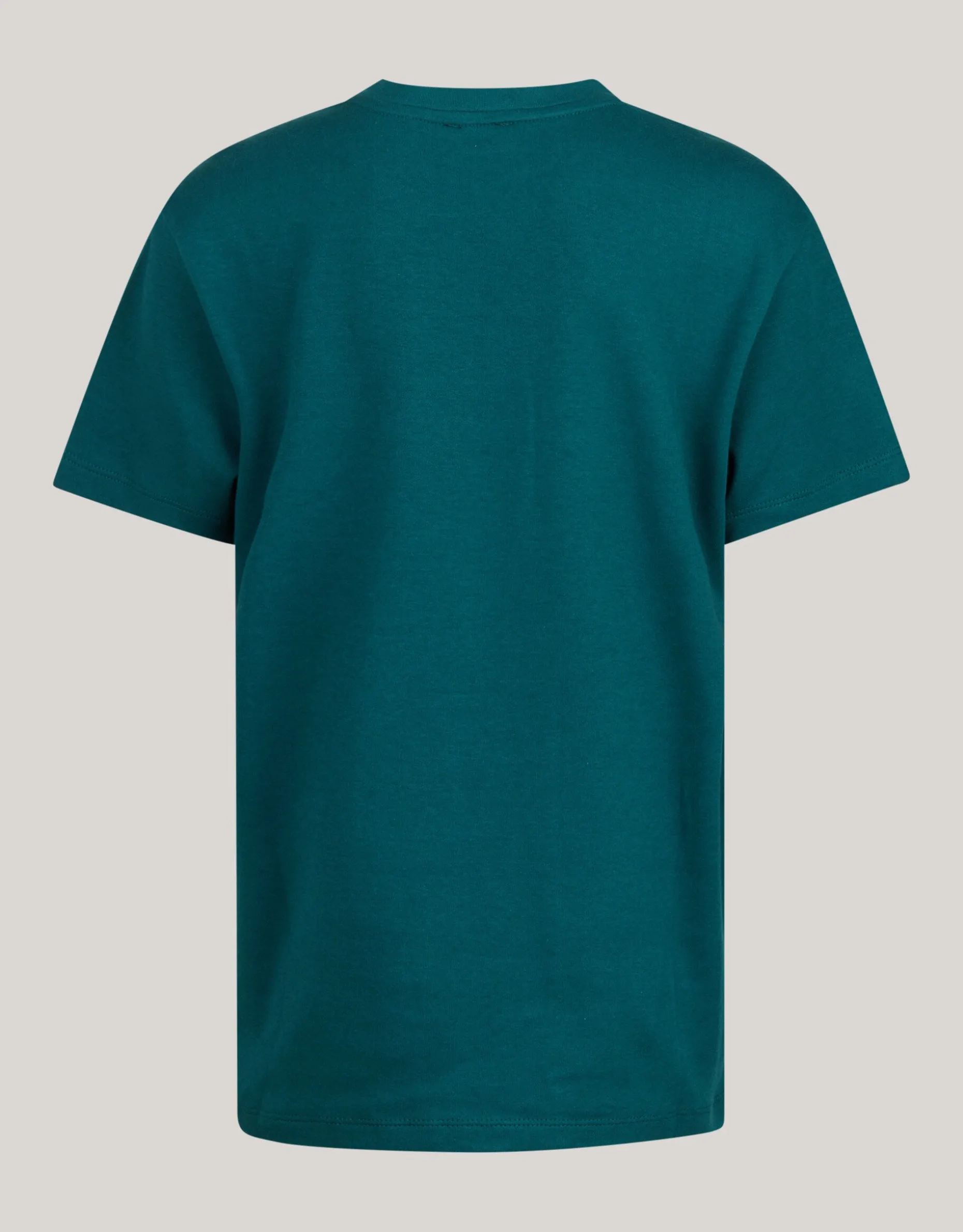 Heavy Basis T-shirt Donkergroen