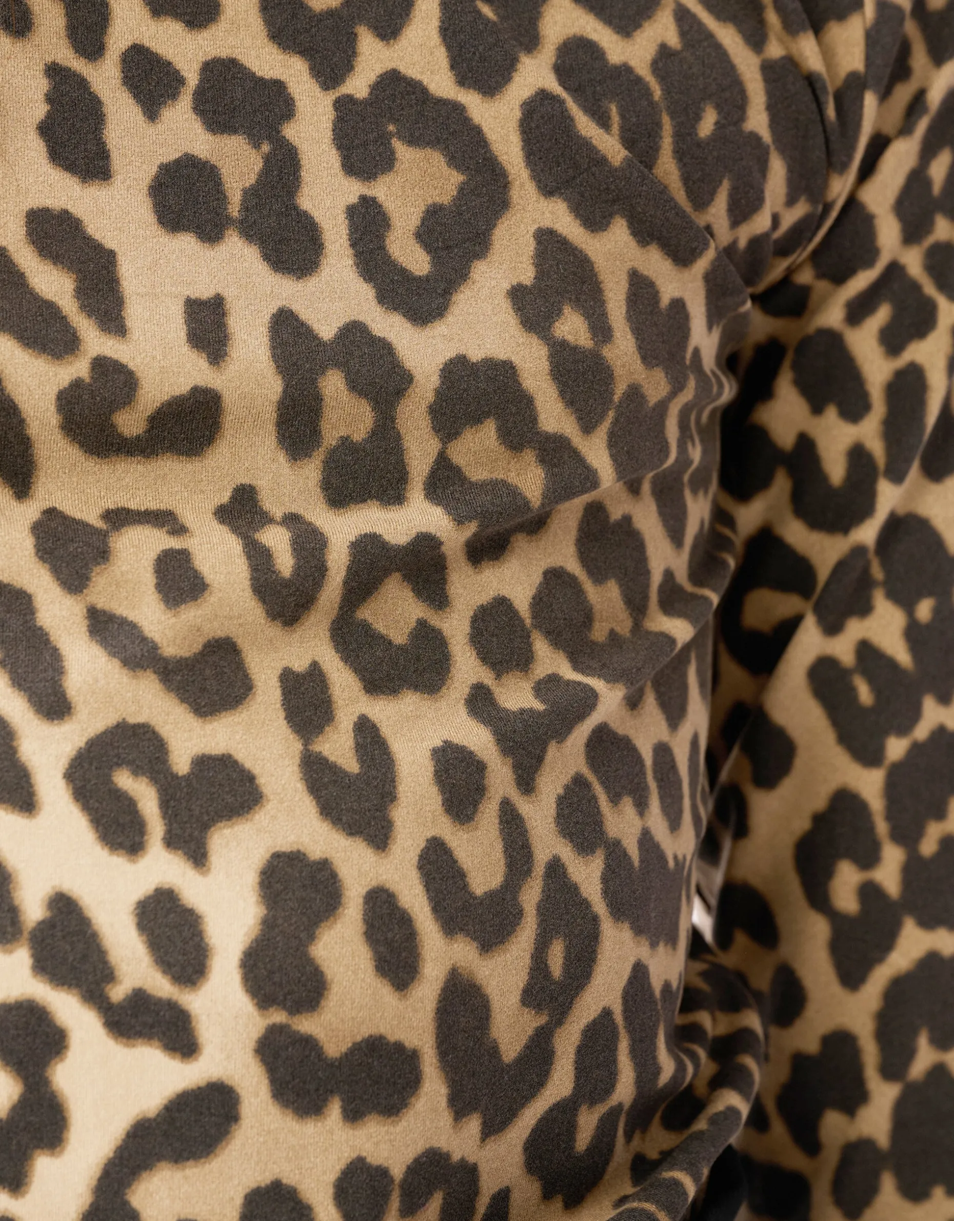 Leopard Coltrui Bruin