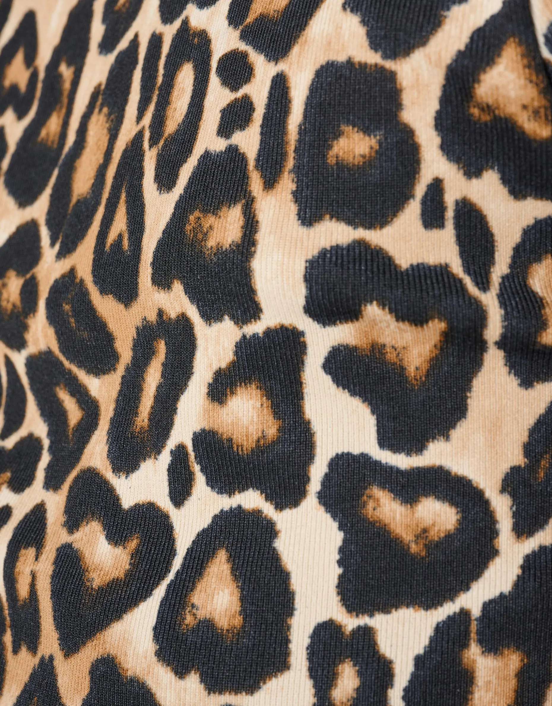 Leopard Crop Top