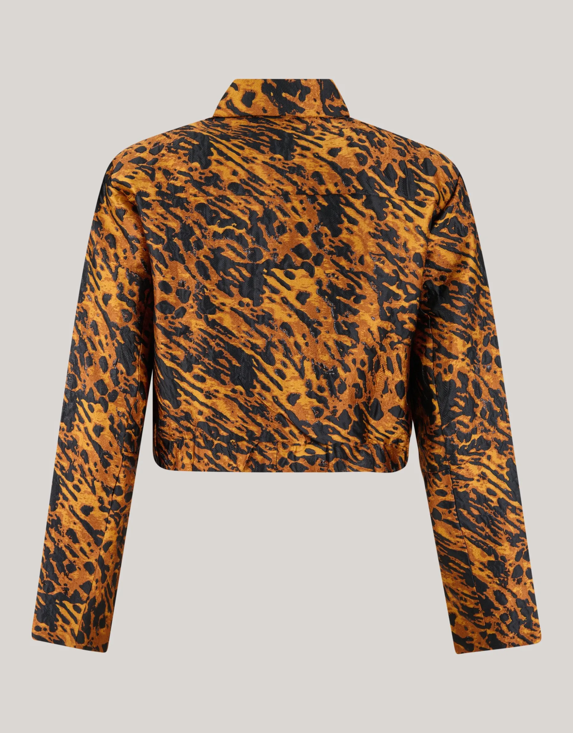 Leopard Jack Bruin
