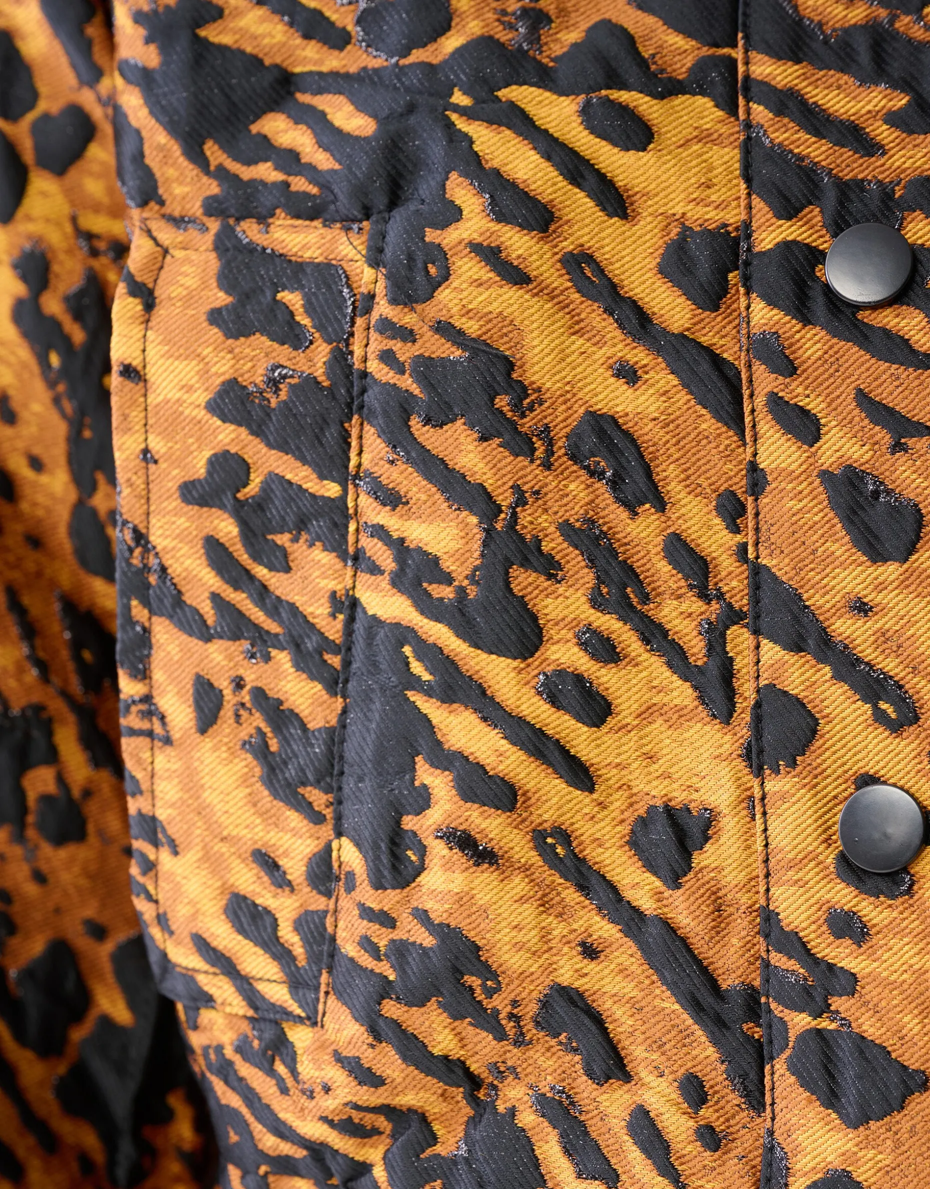 Leopard Jack Bruin