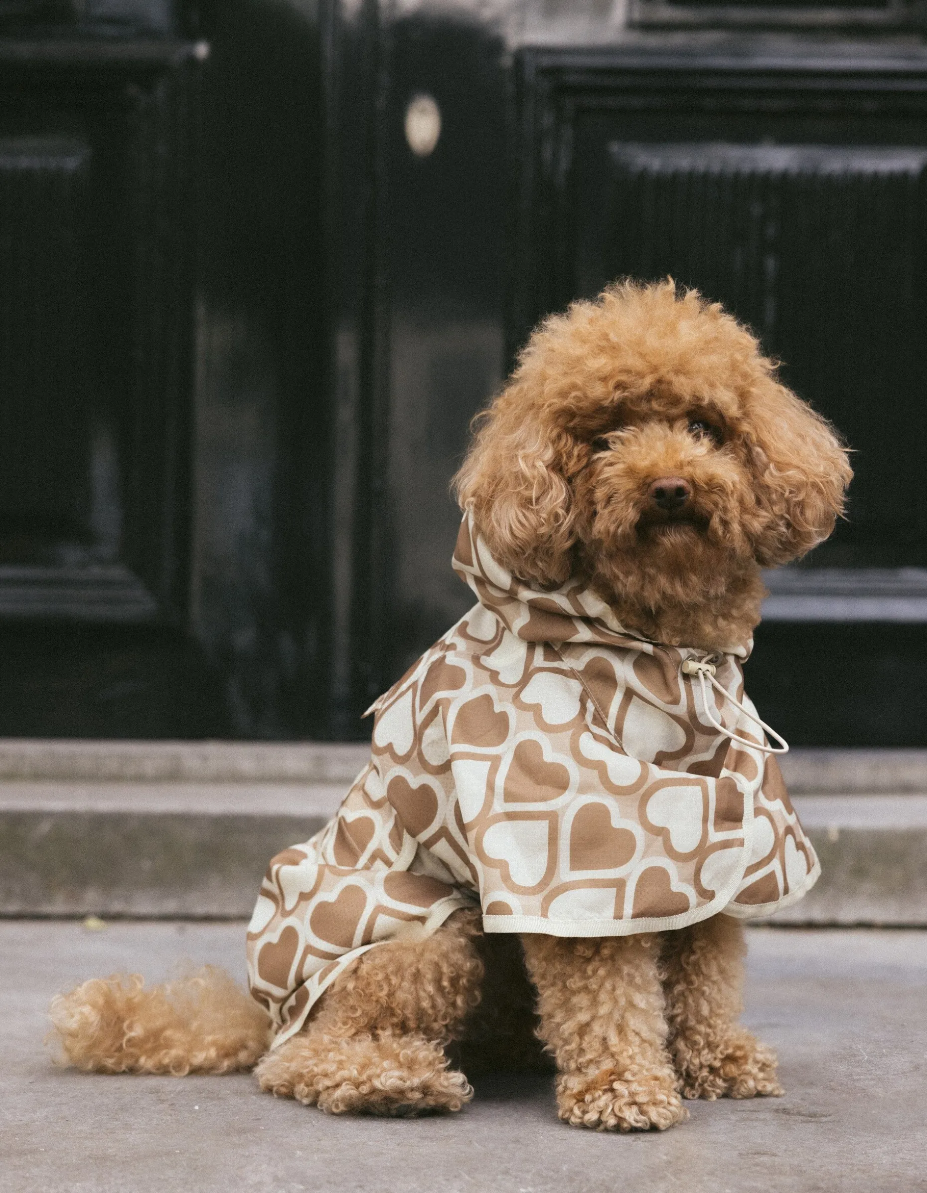 Printed Honden Regenjas Gebroken Wit By Furmey