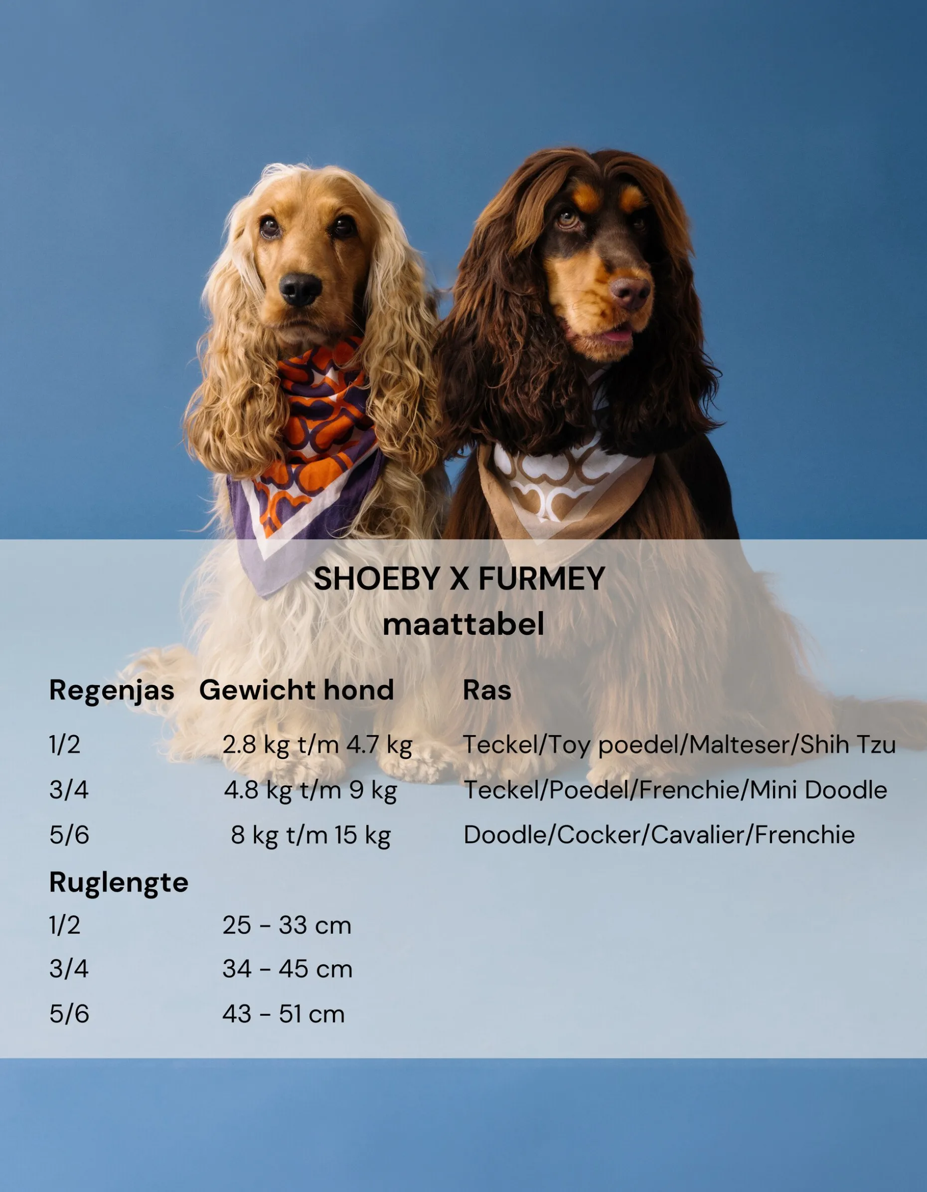 Printed Honden Regenjas Gebroken Wit By Furmey