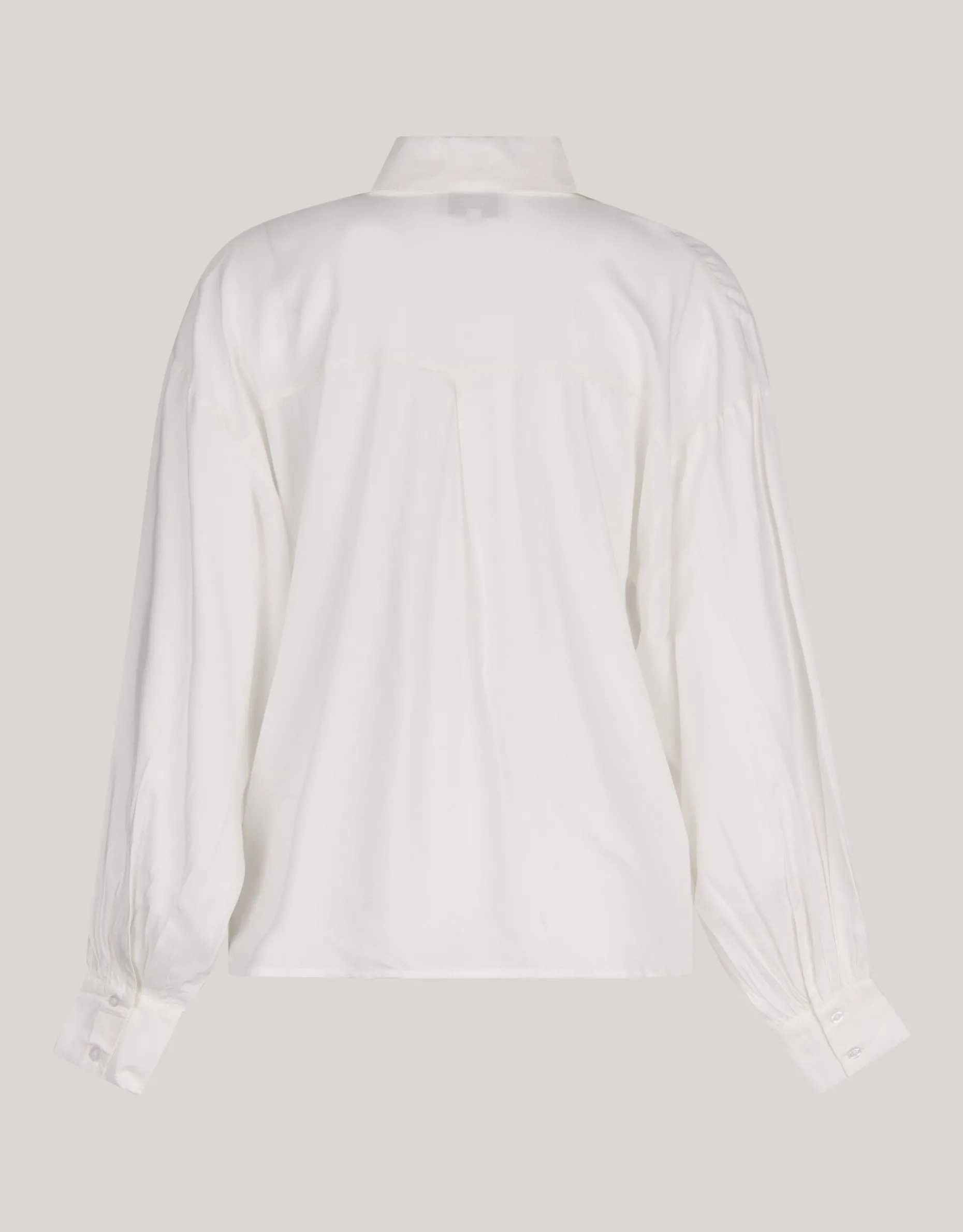 Sequin Blouse Wit