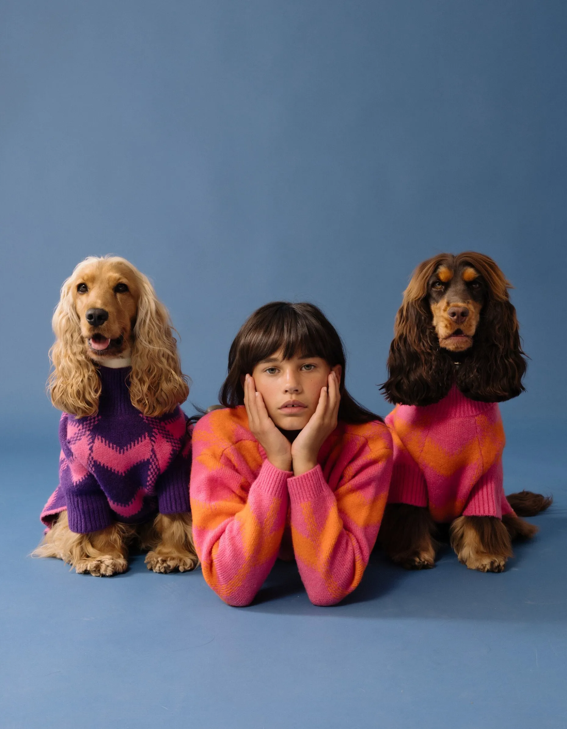 Sequin Honden Trui Paars By Furmey
