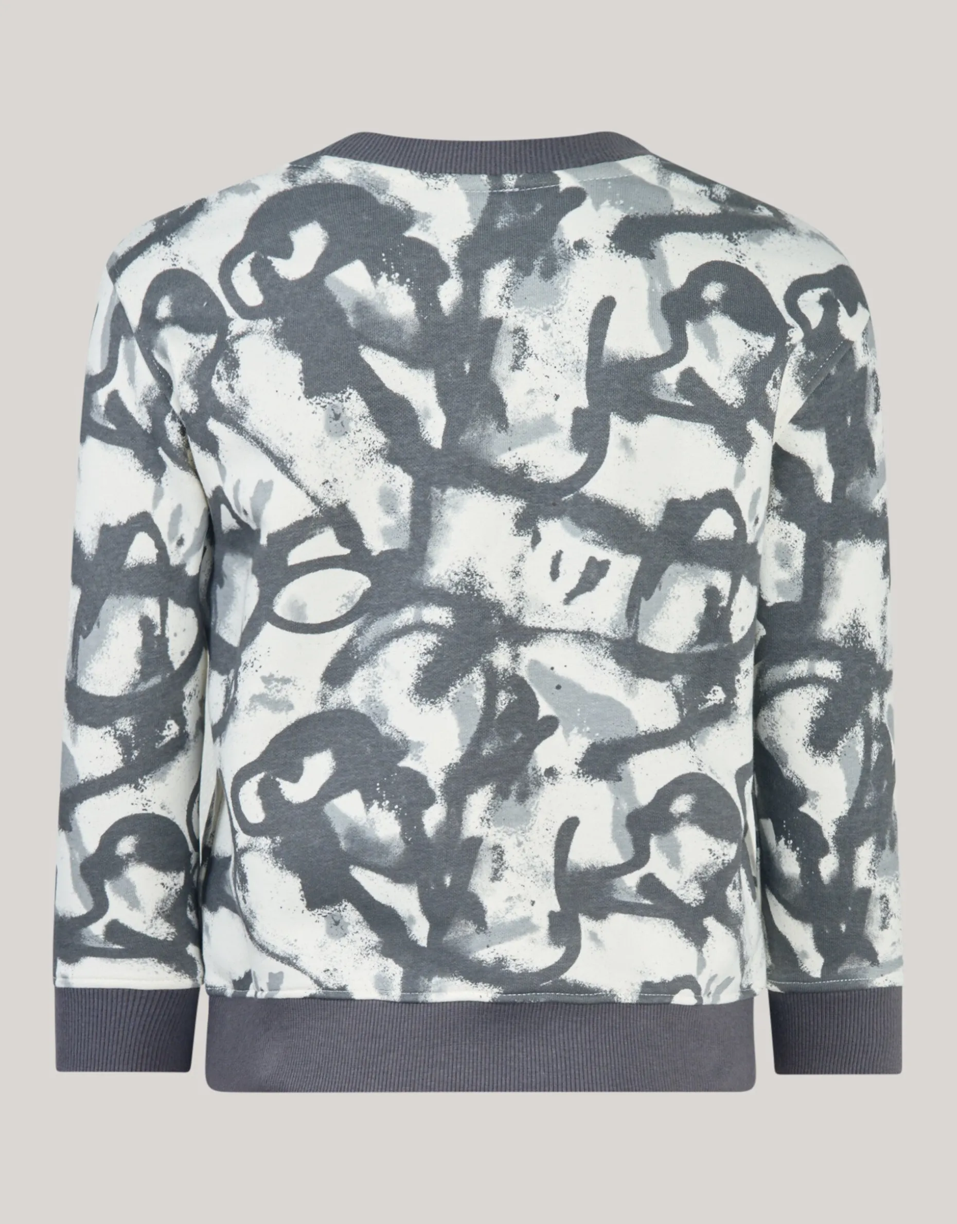 Spray Sweater Grijs