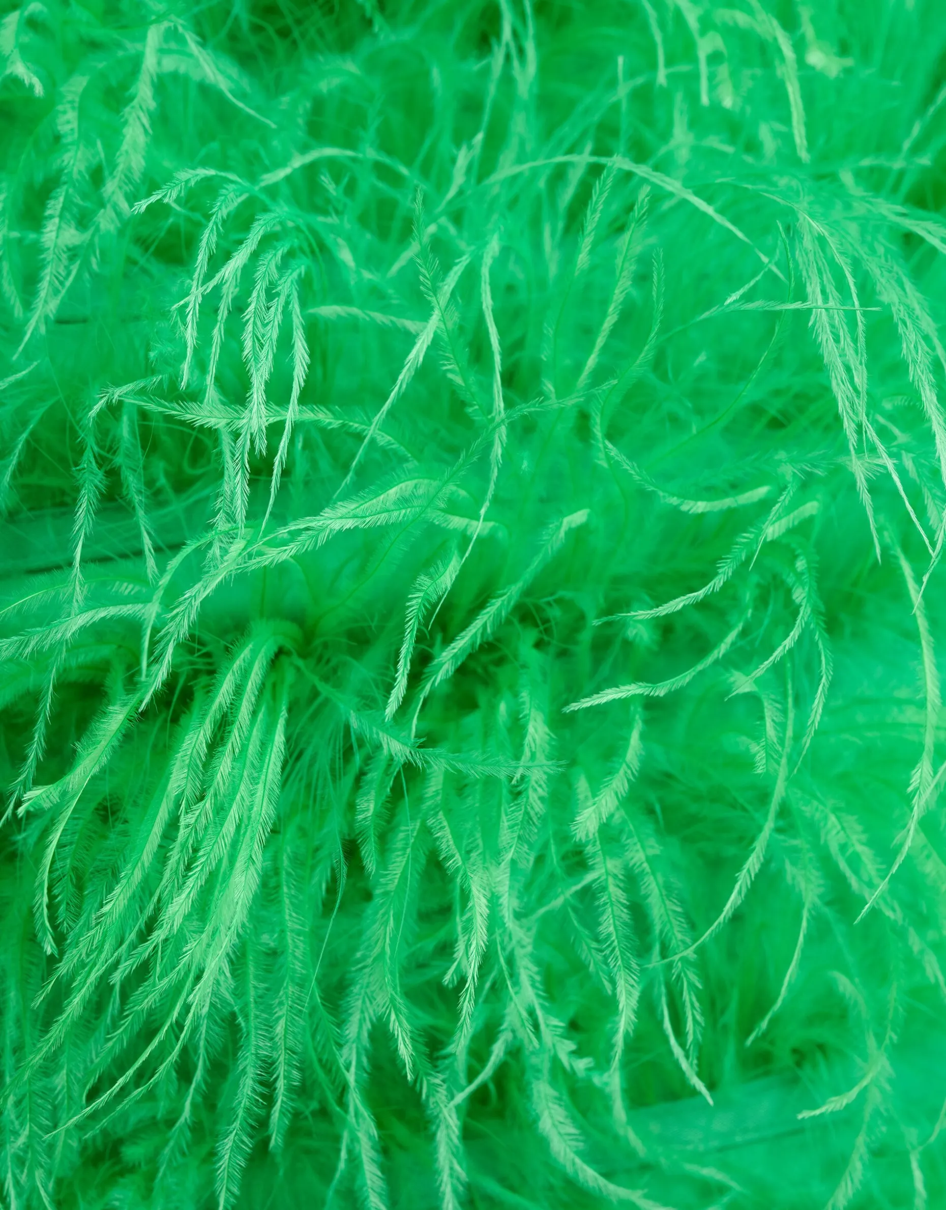 Veren Top Groen
