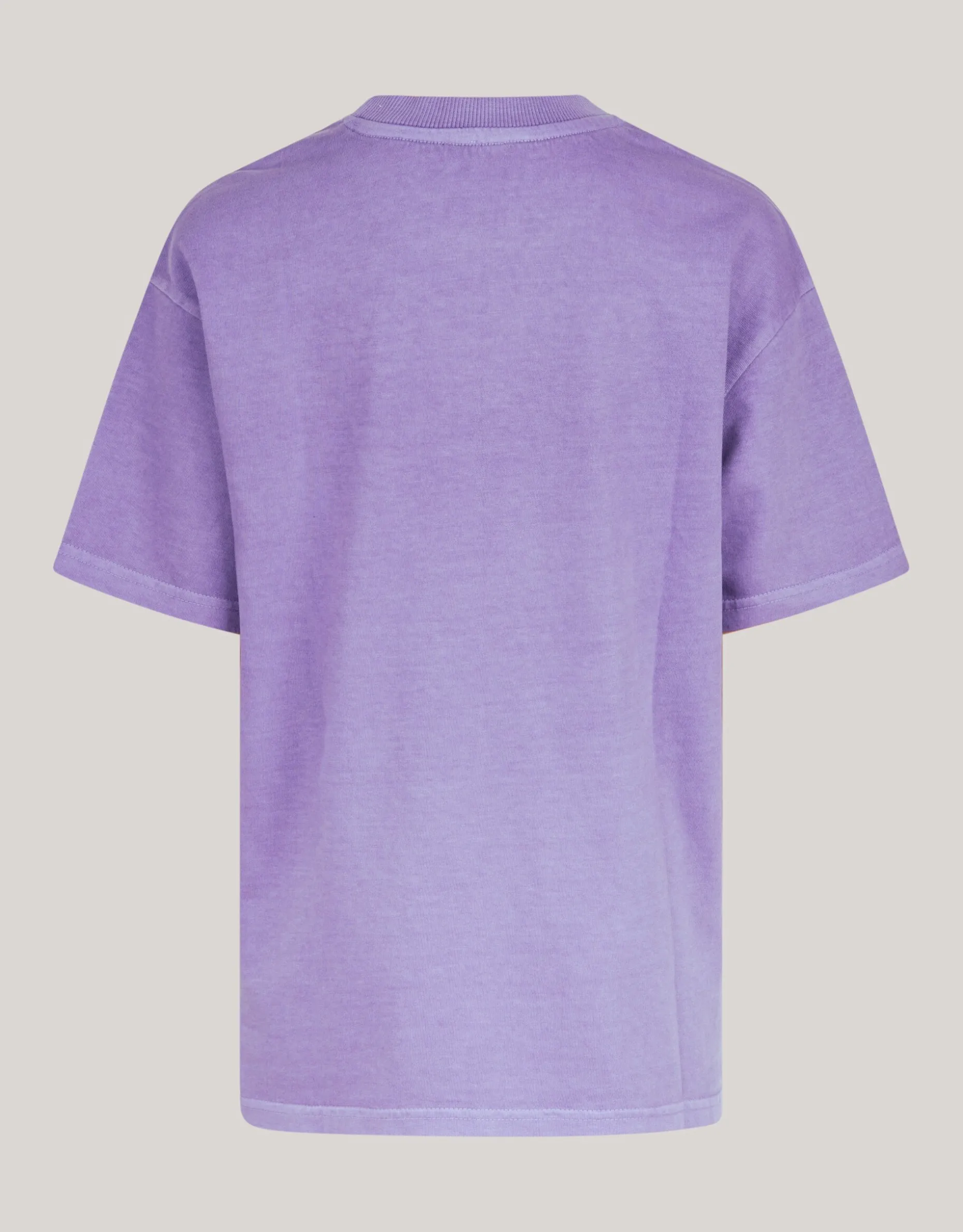 Washed Logo T-shirt Paars